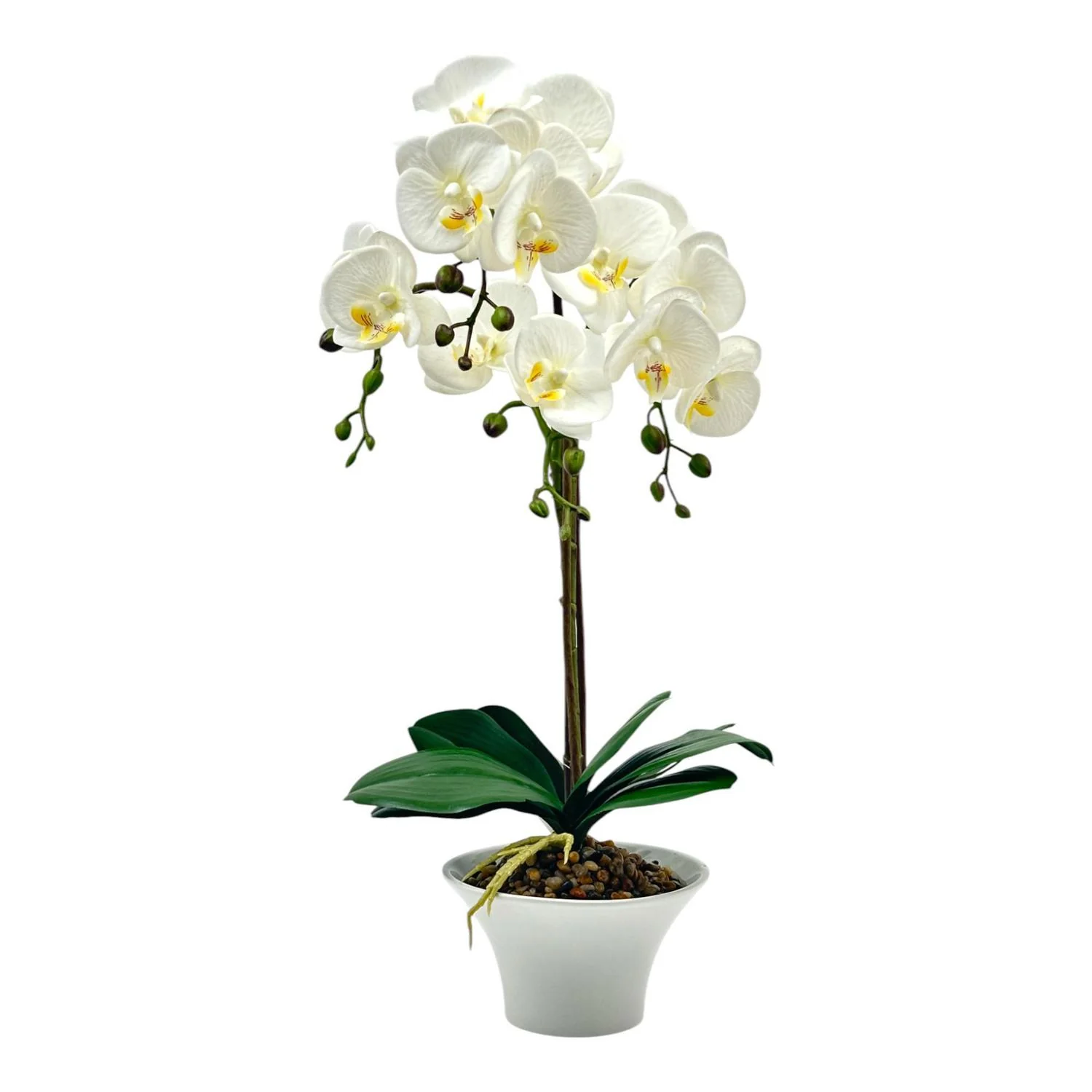 Planta Art 54Cm Blanco Orquidea F251